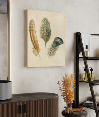 Watercolor Feathers I