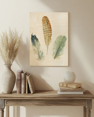 Watercolor Feathers IV