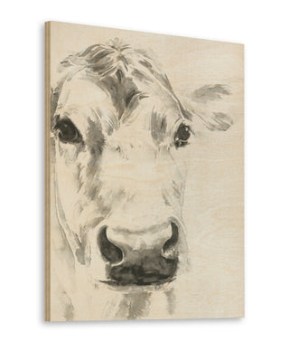 Farm Faces I