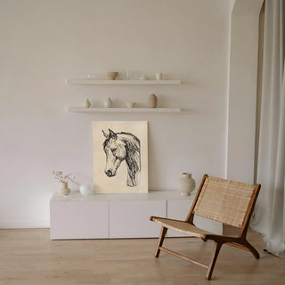 Equine Contour II
