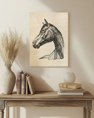 Equine Contour IV