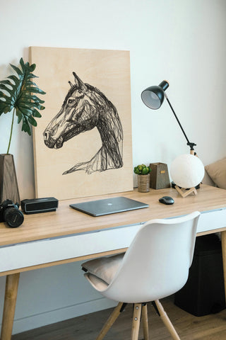 Equine Contour IV