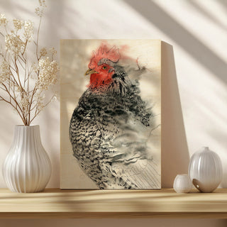 Plymouth Rooster I
