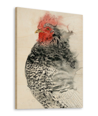 Plymouth Rooster I