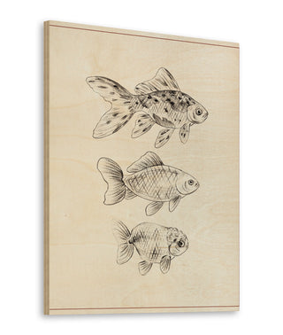 Goldfish I