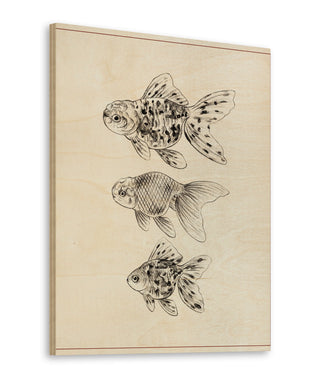 Goldfish II