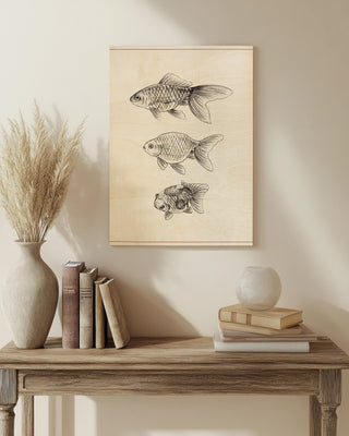 Goldfish IV