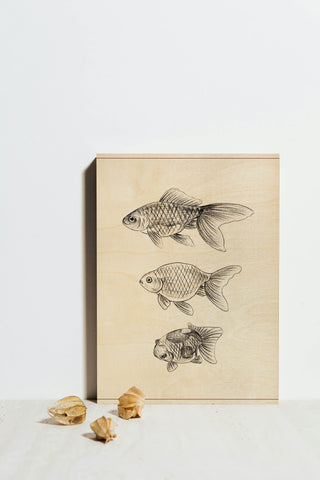 Goldfish IV