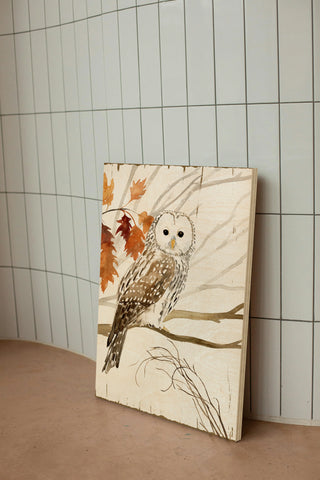 Harvest Owl I