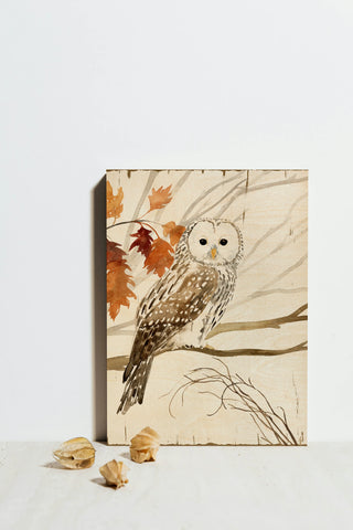 Harvest Owl I