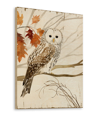 Harvest Owl I