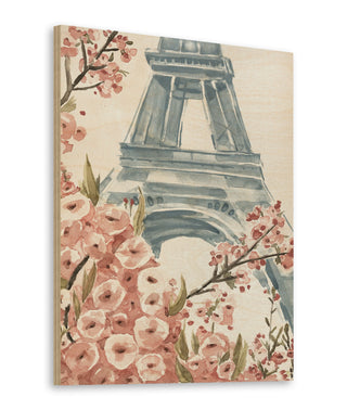 Paris Cherry Blossoms I