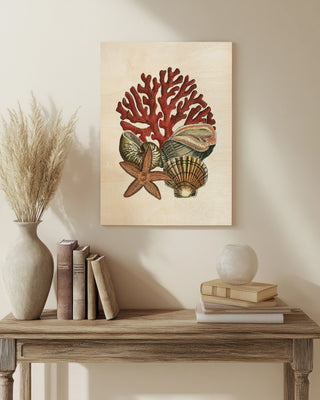 Coral Medley I