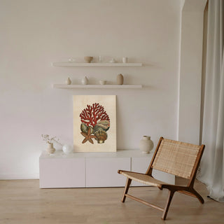 Coral Medley I