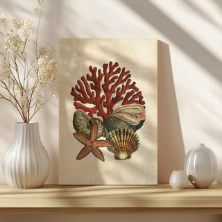 Coral Medley I
