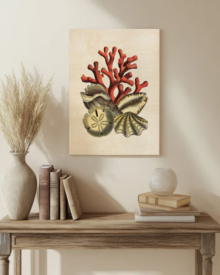 Coral Medley II