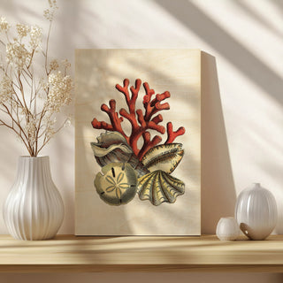 Coral Medley II