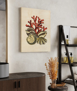 Coral Medley II