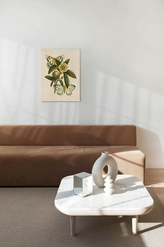 Butterfly Oasis I