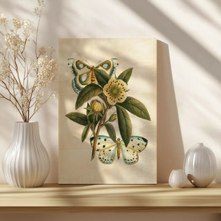 Butterfly Oasis I