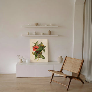Tropical Birds and Botanicals I