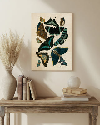 Blue Butterfly Study