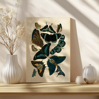Blue Butterfly Study