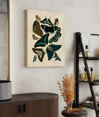 Blue Butterfly Study