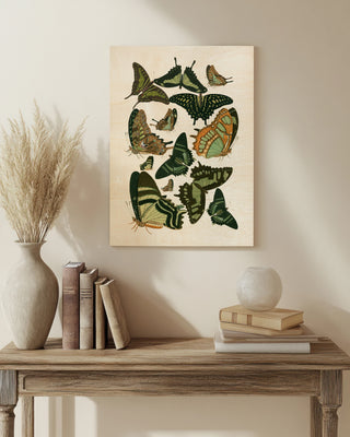 Green Butterfly Study