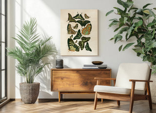 Green Butterfly Study