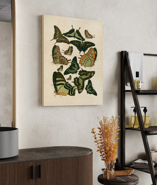Green Butterfly Study