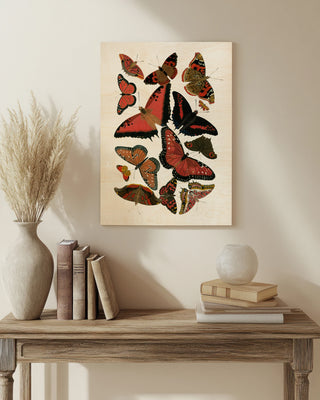 Red Butterfly Study