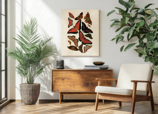 Red Butterfly Study