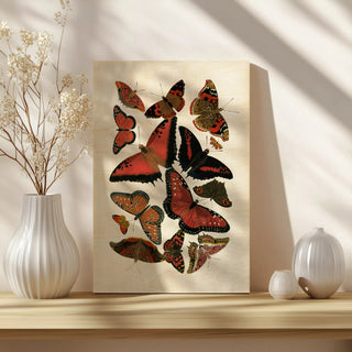 Red Butterfly Study