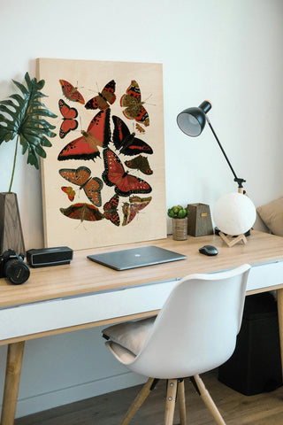 Red Butterfly Study