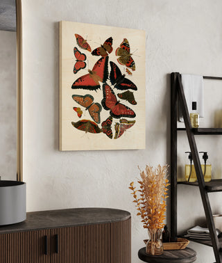 Red Butterfly Study