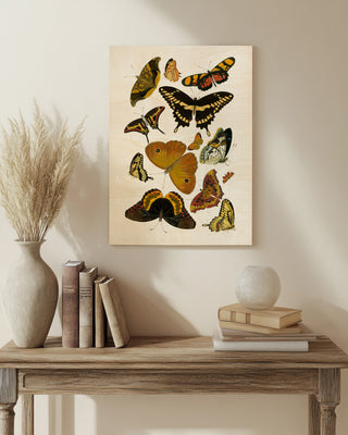 Yellow Butterfly Study