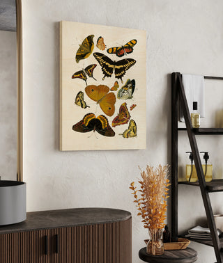 Yellow Butterfly Study