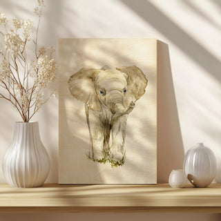 Baby Elephant II