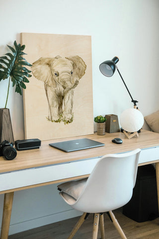 Baby Elephant II