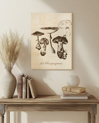 Les Champignons I
