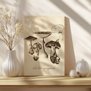 Les Champignons I