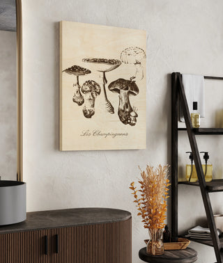 Les Champignons I