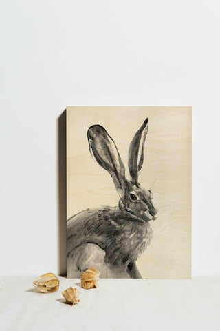 Wild Hare II