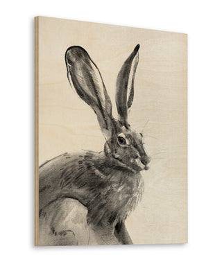 Wild Hare II