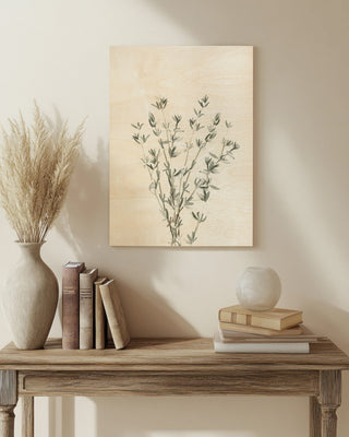 Delicate Sage Botanical III