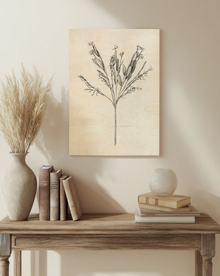 Field Flower I