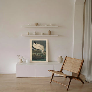 Pl 216 Wood Ibis