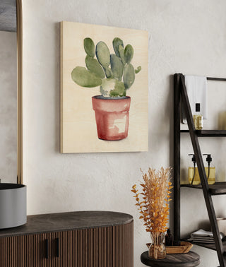 Potted Succulent I
