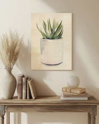 Potted Succulent III